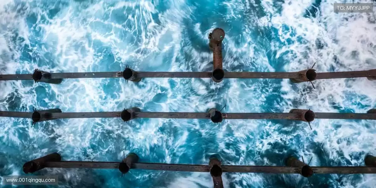 限量周边,收藏你的热爱!🎯👕